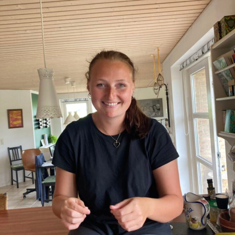 skolevægring-underretning2