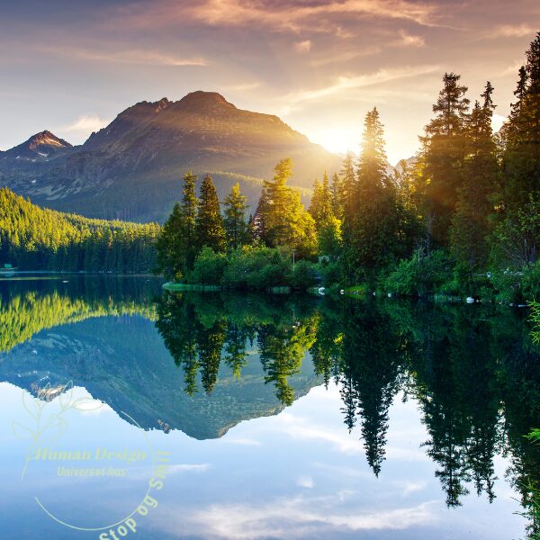 Autoritet i Human Design