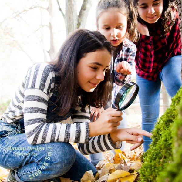 Dit barns læringsstil ud fra Human Design