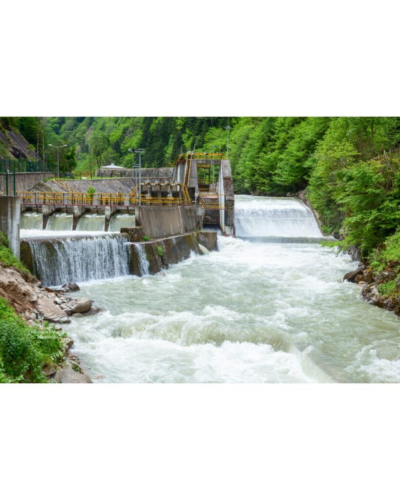 Forstå dit barns type - ud fra Human Design Universet hos Stop og Smil