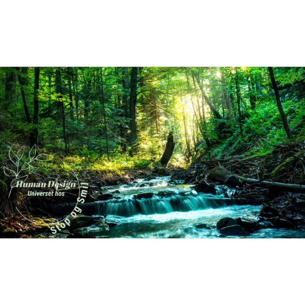 Human Design Universet hos Stop og Smil - forstå dit barn