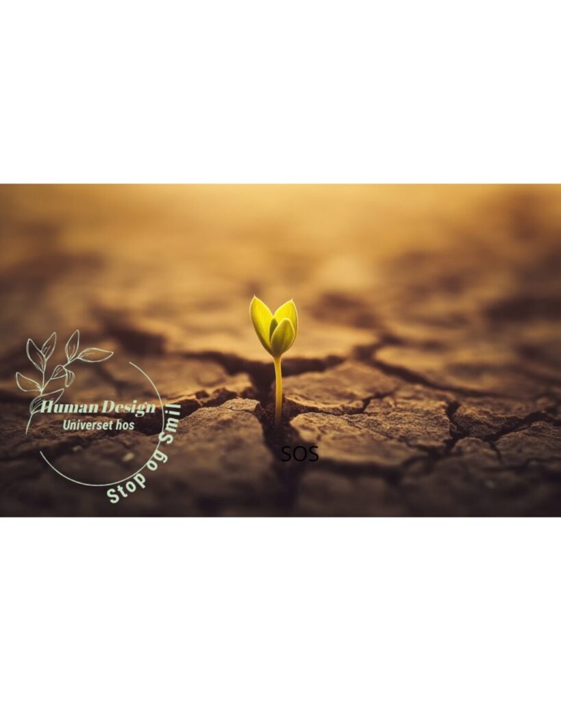 Hvordan kan du bruge Human Design i hverdagen - læs artiklerne hos Human Design Universet hos Stop og Smil