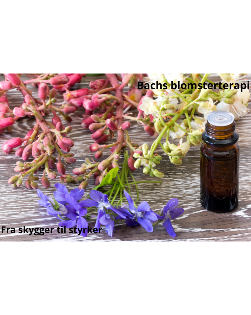 Fra Skygger til styrker med Bachs blomsterterapi
